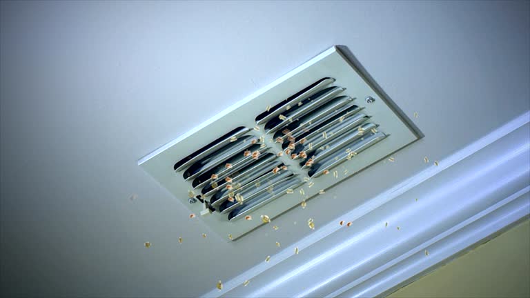 Best Affordable HVAC Duct Cleaning  in Hlsboro, IL